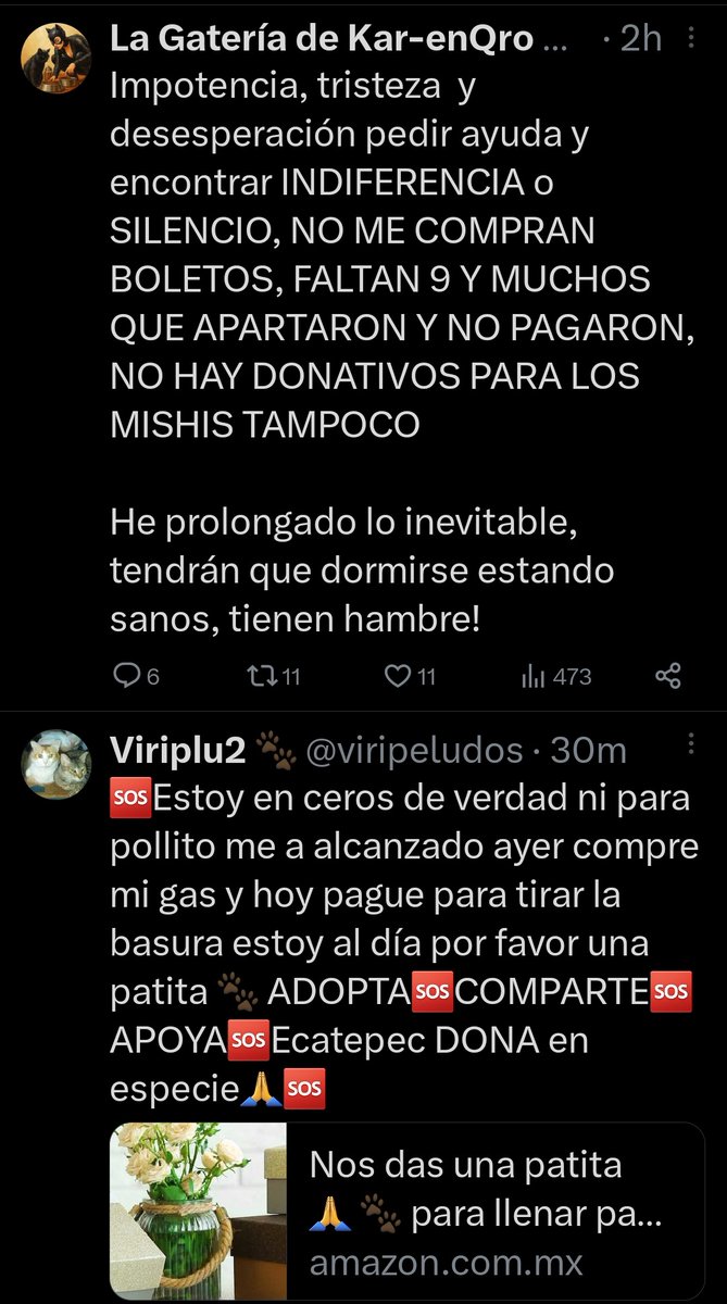 Se siente tan feo leerlas y ver qué andamos por el mismo camino, ellas son transparentes y si ayudan, pero no, veo como les donan mejor a otras disque rescatistas. Ya ni digo nombres porque las defienden como si de veras 🙄🙄.