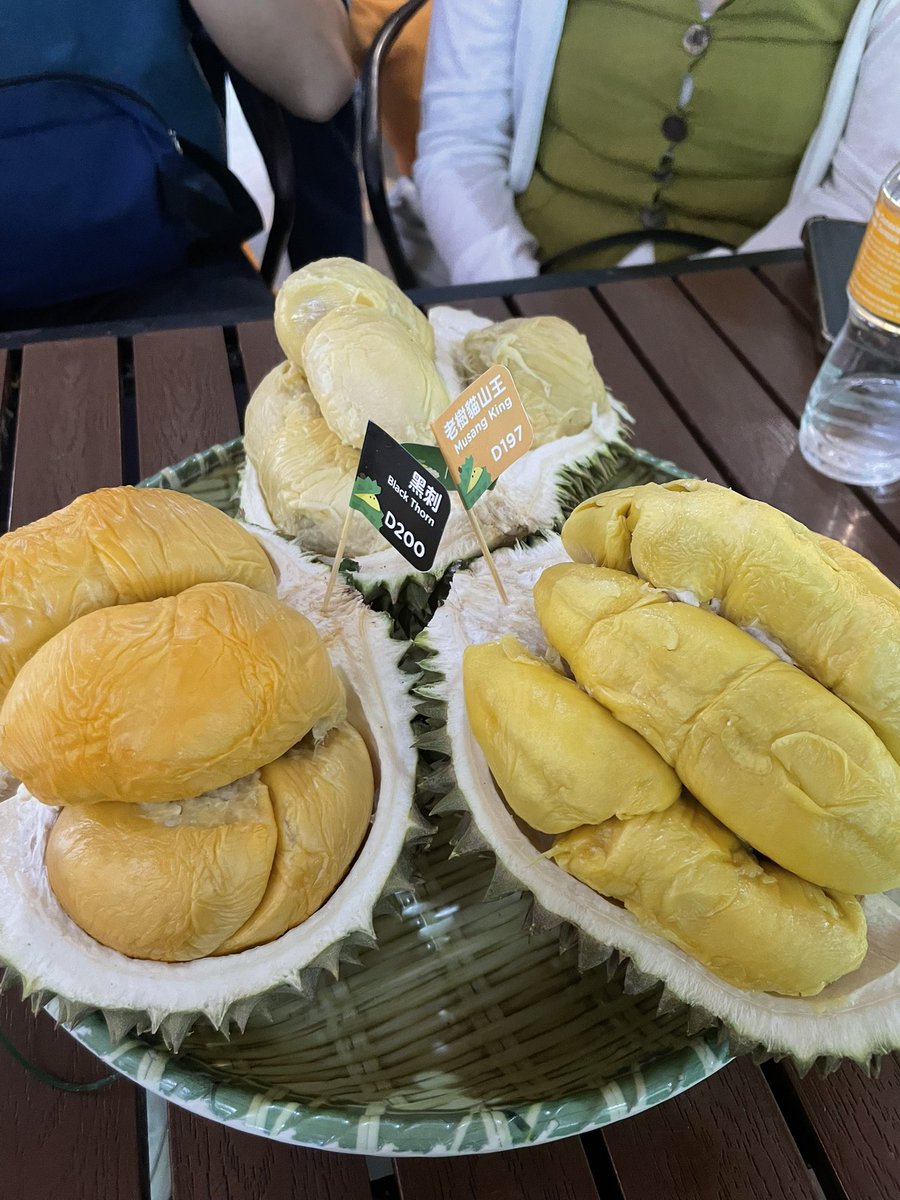 Have fun all of nads who goin to Vietnam meet up 💜💜
Will fomo for sure, but my mind still stuck from this durian from Malaysia meet up 😵‍💫