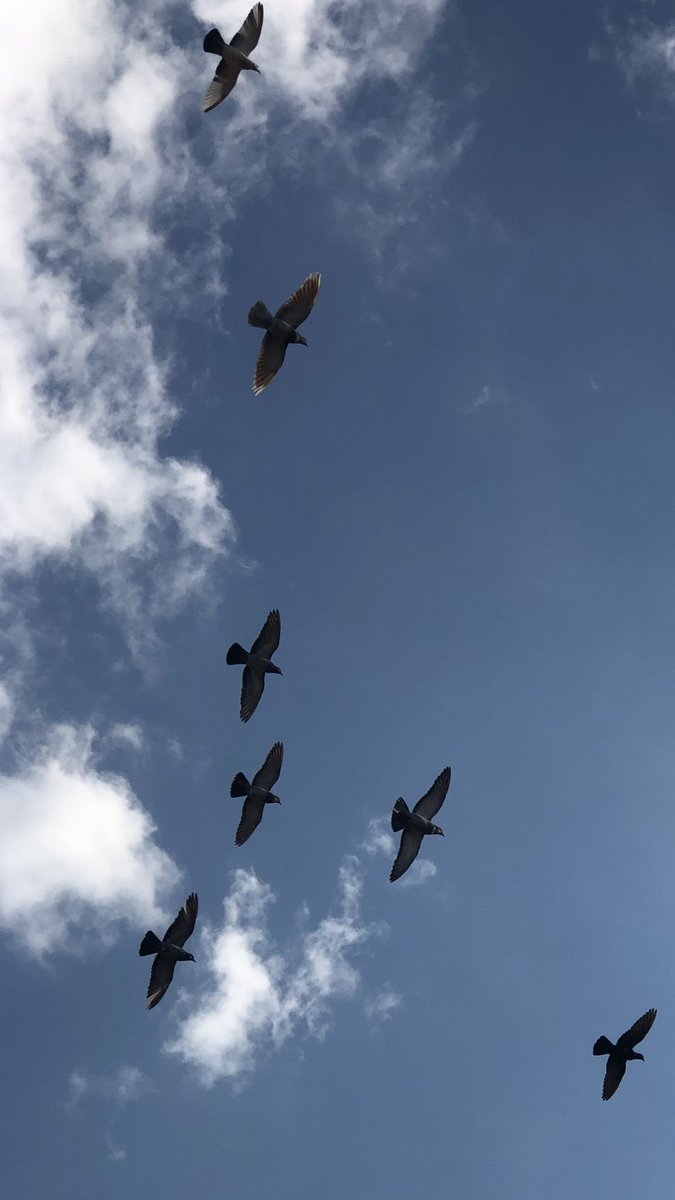 هدى (@huda_mohamed111) on Twitter photo 