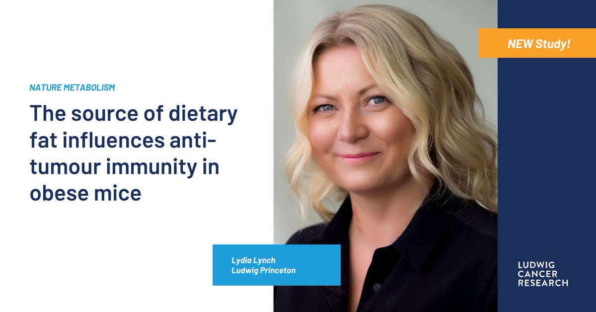 Ludwig_Cancer's tweet photo. Researchers led by Ludwig @Princeton's @lynchielydia have discovered that in obese people, who are at high risk for many cancers, a diet rich in animal fats—but not plant-derived fats—suppresses antitumor immunity and promotes cancer progression. https://t.co/lqSWyNFj5f https://t.co/1yEQvIJJZ7