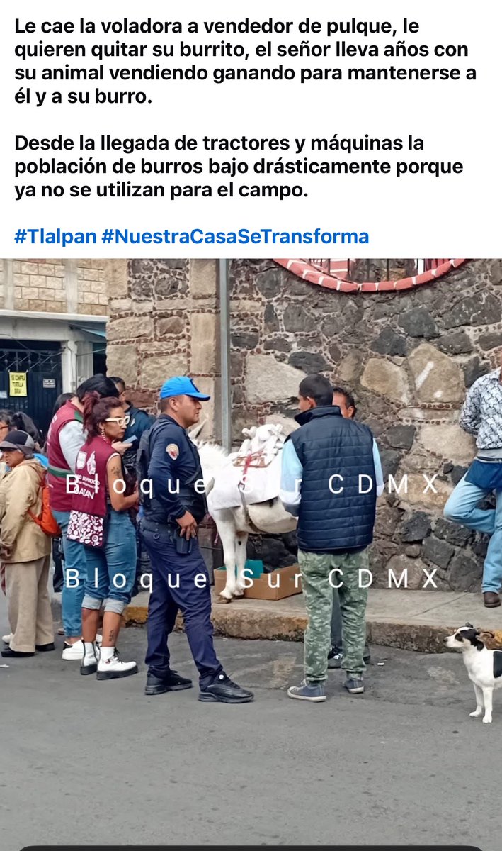 Cultura y Toro (@culturaytoro) on Twitter photo .<a href="/AnaJVillagran/">Ana J Villagrán</a> la protegida de <a href="/ClaraBrugadaM/">Clara Brugada Molina</a> fue a quitarle su burrito a un vendedor de pulque. ¿Para qué? ¿Se lo llevará a su dpto de 4x4 ? o peor aún a la Agencia de Atención Animal que tiene abandonada? #NoMasPseudoanimalistas .<a href="/AnaJVillagran/">Ana J Villagrán</a> la protegida de <a href="/ClaraBrugadaM/">Clara Brugada Molina</a> fue a quitarle su burrito a un vendedor de pulque. ¿Para qué? ¿Se lo llevará a su dpto de 4x4 ? o peor aún a la Agencia de Atención Animal que tiene abandonada? #NoMasPseudoanimalistas