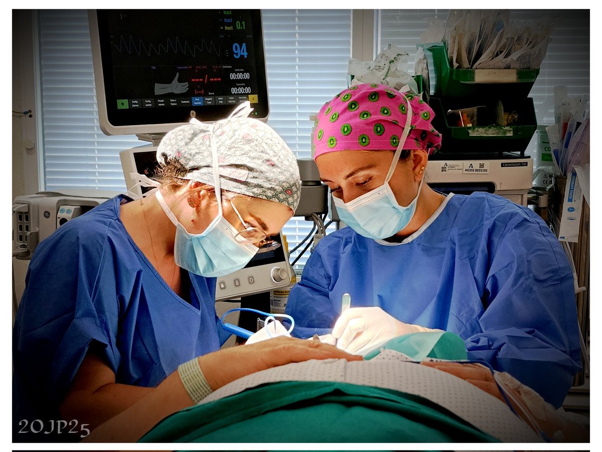 💚 JuanPa 💚 🇪🇦 🇭🇹 (@jproldansvq) on Twitter photo Hoy la Dra. Ángulo, R-1 de Urología, ha completado su rotatorio por la UCMA del Tomillar, llevada de la mano por la Dra. Gómez R-3 de <a href="/CirugiaHUValme/">Cirugía General HU Valme</a>. ¡Enhorabuena Blanca por tu progreso en estos escasos dos meses! <a href="/AGSSurSevilla/">AGS Sur de Sevilla</a> Hoy la Dra. Ángulo, R-1 de Urología, ha completado su rotatorio por la UCMA del Tomillar, llevada de la mano por la Dra. Gómez R-3 de <a href="/CirugiaHUValme/">Cirugía General HU Valme</a>. ¡Enhorabuena Blanca por tu progreso en estos escasos dos meses! <a href="/AGSSurSevilla/">AGS Sur de Sevilla</a>
