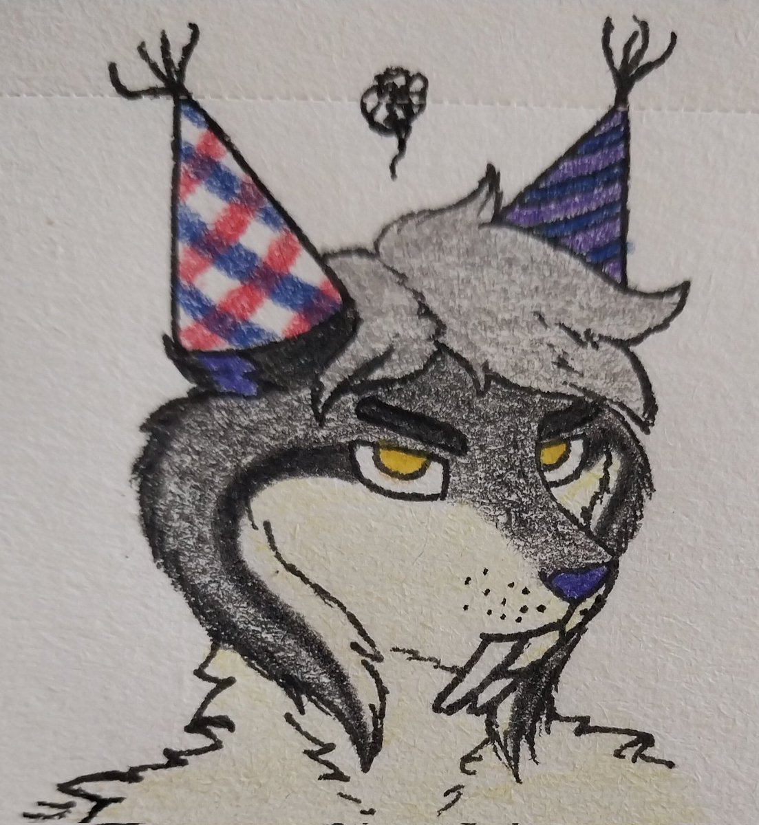 Tayskald's tweet image. He isn't very fond of the birthday outfit they gave him...