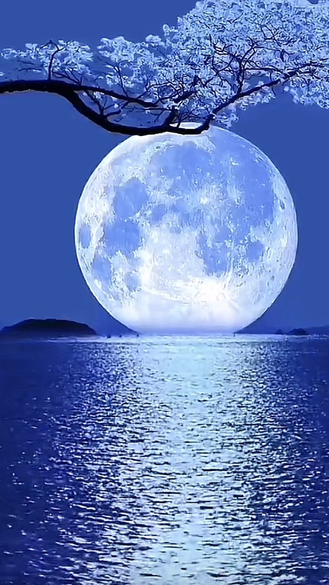 Have a fantastic evening everyone