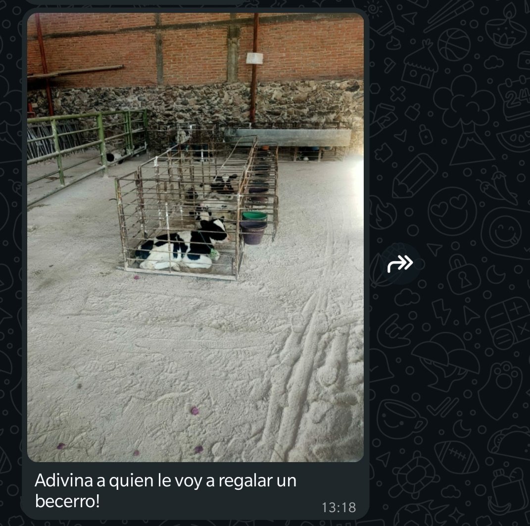 adi8a's tweet image. Esto se está saliendo de control hahahaha