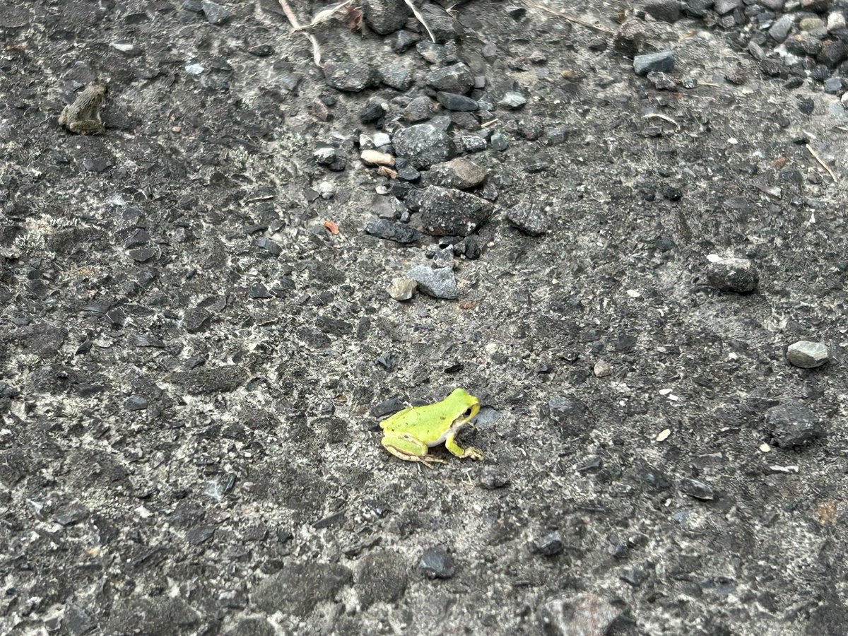 朝からありがと
今日も一日
