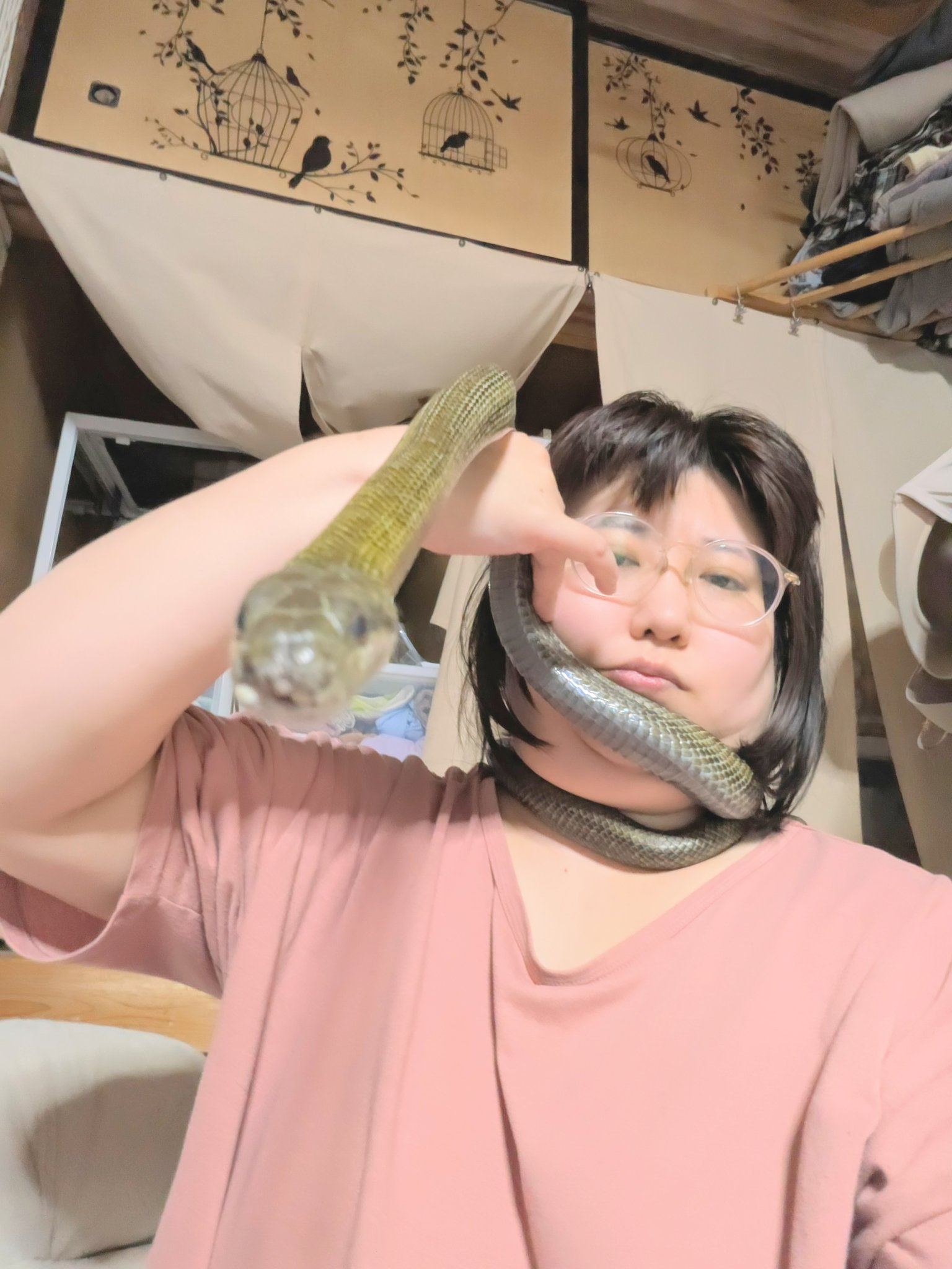 しょうちゃん様 オーダー注文専用❗️ SOZ.COM | ◼️ 1/100 MSN-06S Sinanju シナンジュ ブックオフで