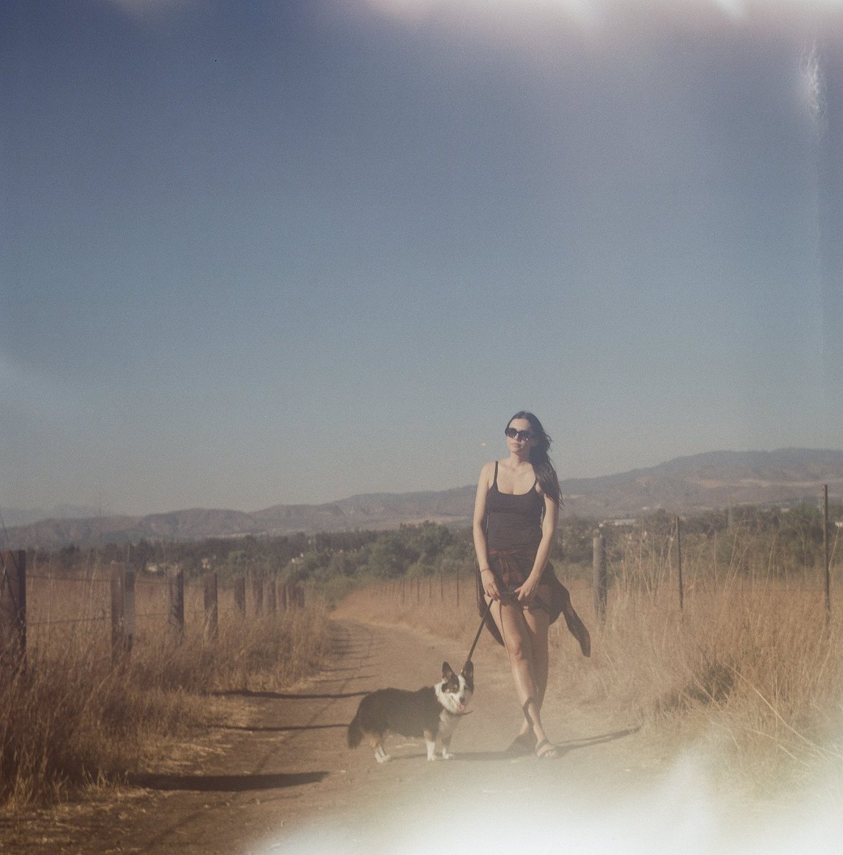 Tomahawk Baby tweet media