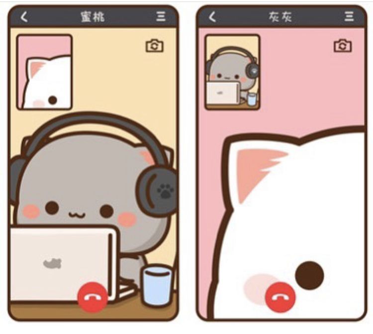 only cute things (@cutedreamvibes) on Twitter photo 
