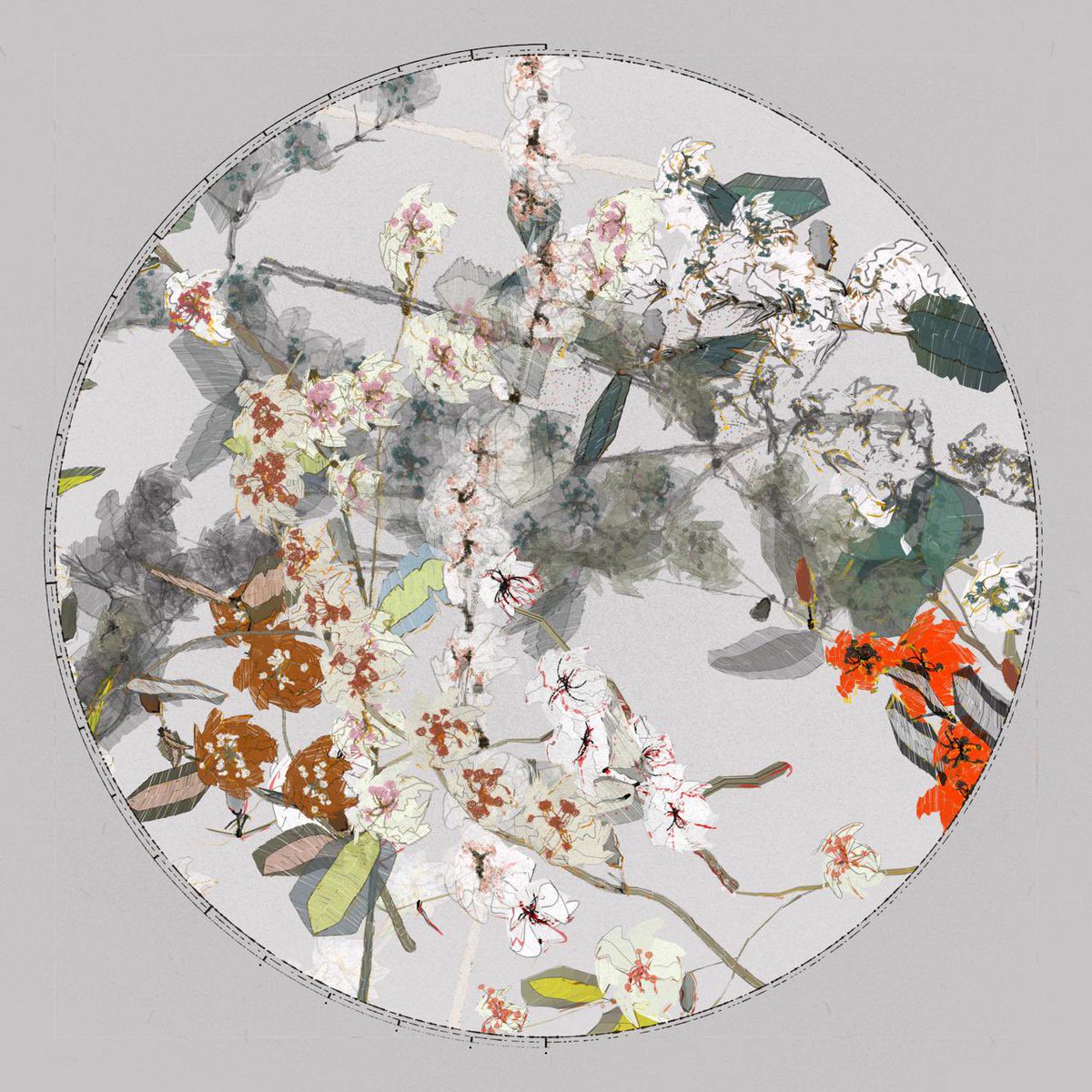 cutterchop tweet media