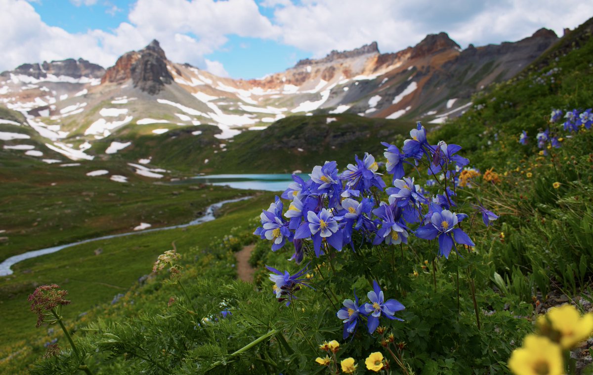 deepspaceduda's tweet image. The magical San Juan Mountains, shot on a @NikonUSA D3500 🐝💙🏔️ #photography #Colorado #optoutside