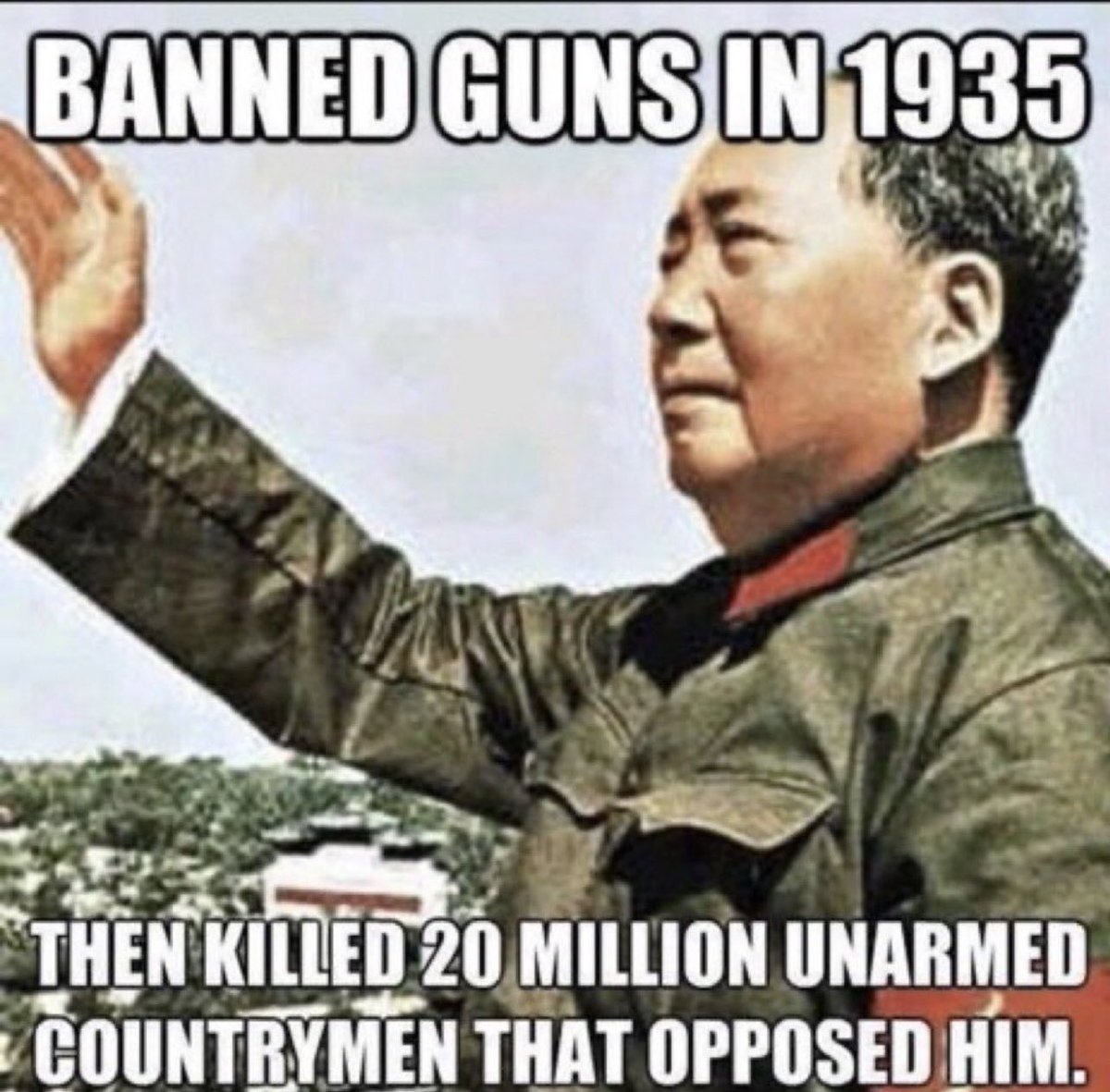 2A shall not be infringed. 💥