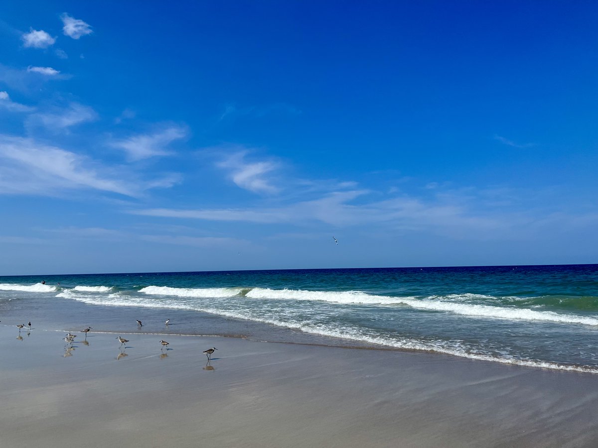 Anna Roberts tweet media