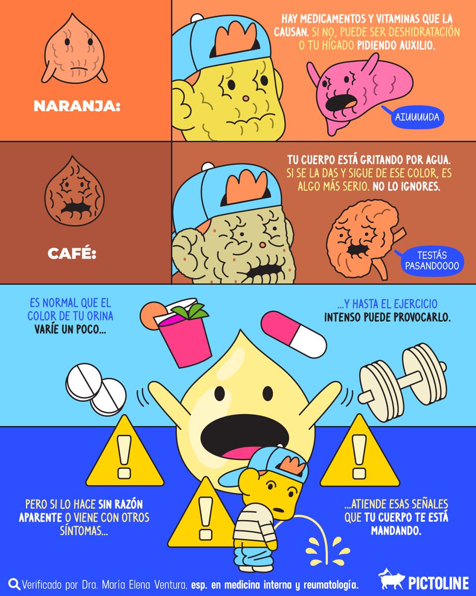 pictoline's tweet image. Lo que el color de tu pipí puede decir de ti y tus posibles “pedillos” 💧🚽👀

#orina #salud #laboratorioclinico #tomaagua #hidratacion #pictoline