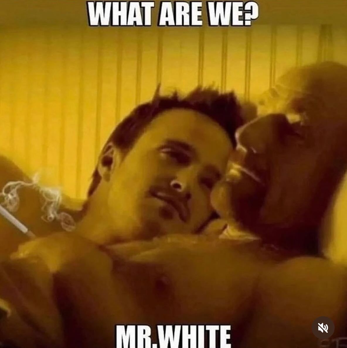 hourly_shitpost's tweet photo. https://t.co/4pJcSKjxc9
