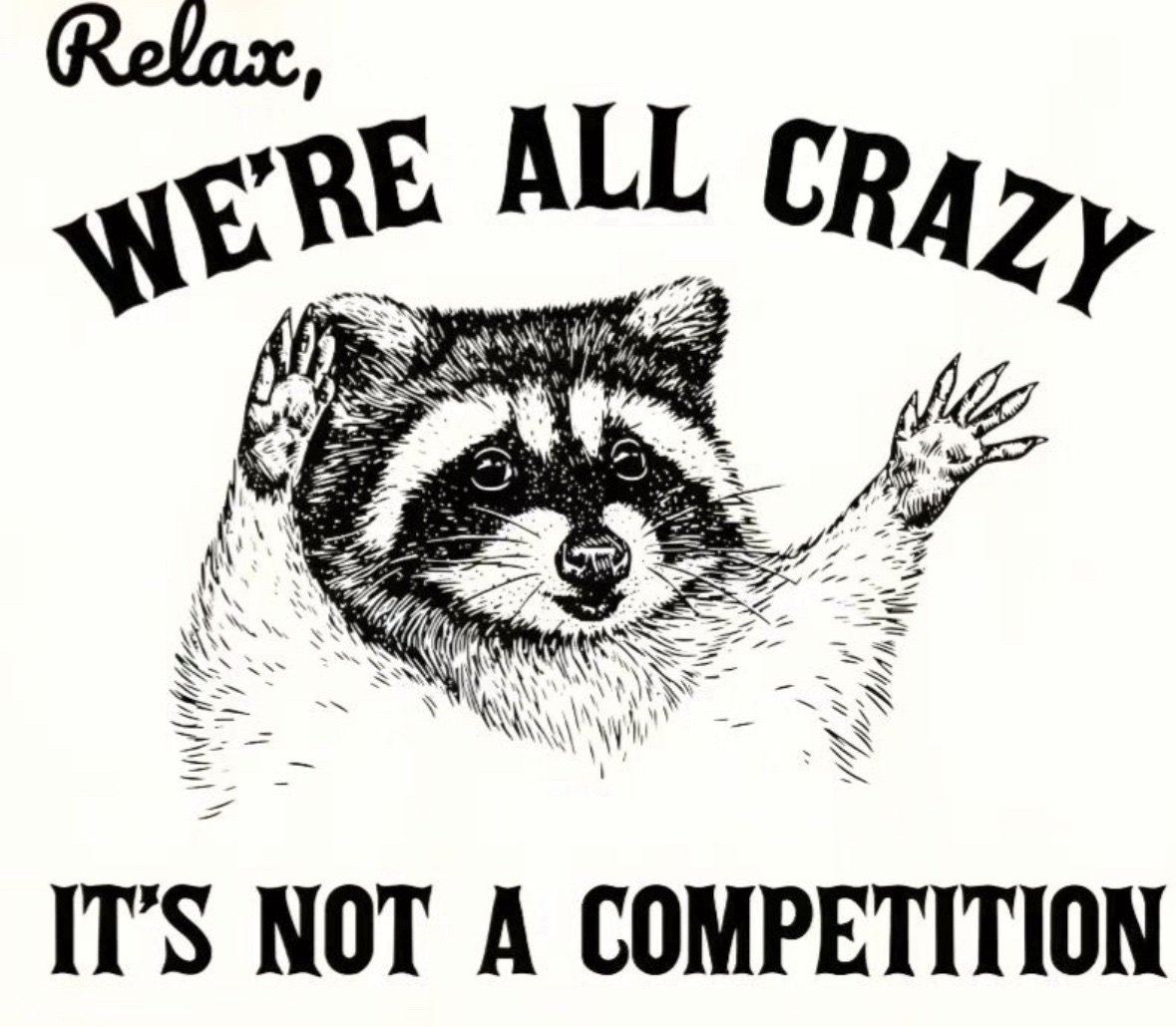 raccoon aesthetic. (@raccoonesthetic) on Twitter photo 