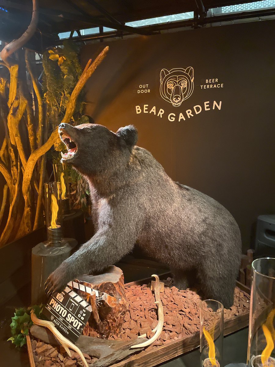 須藤くん 【ひまわり公式】 tweet media