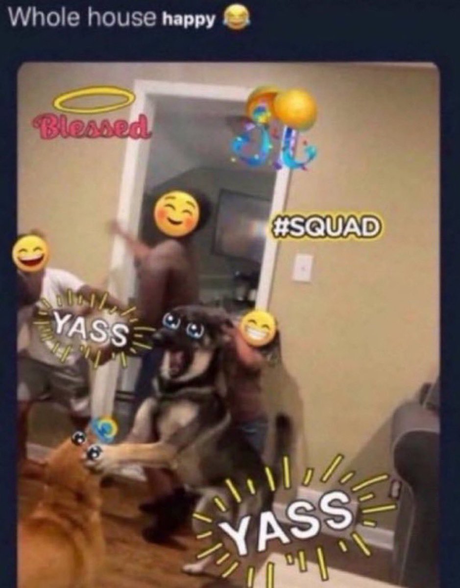 media from the camera roll of a closeted gay man (@slayvideos) on Twitter photo 