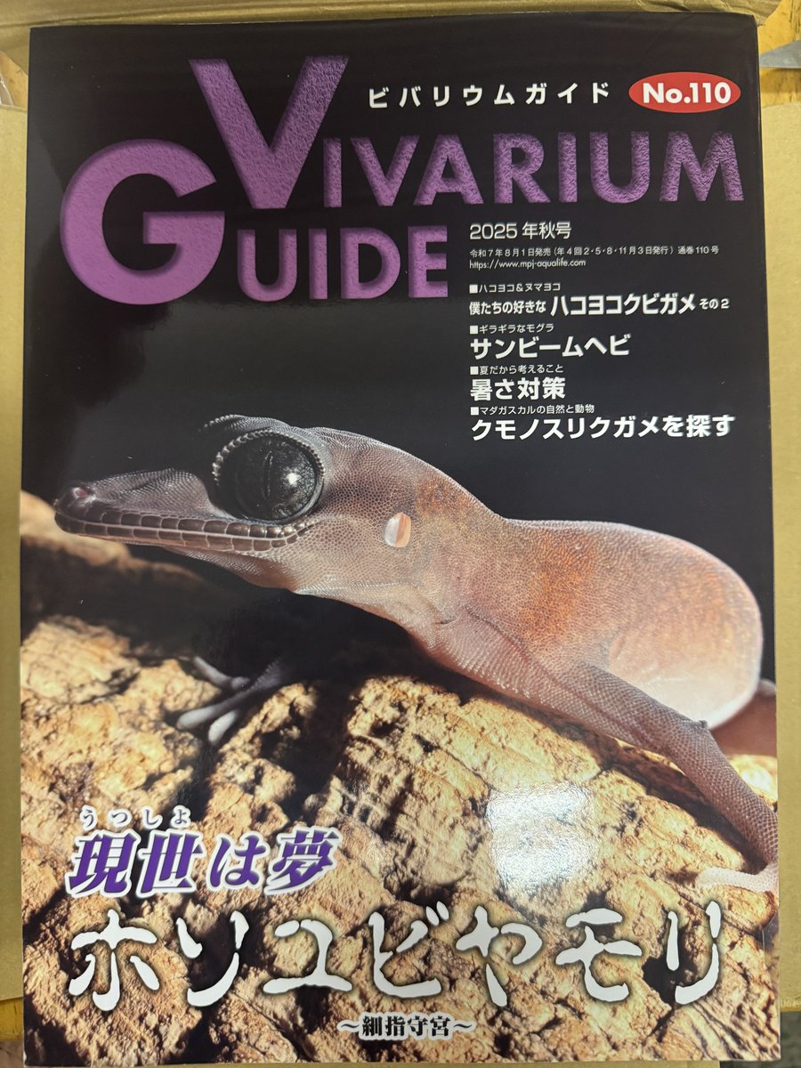 ビバリウムガイド最新No.110

WING21店頭にて販売中‼️