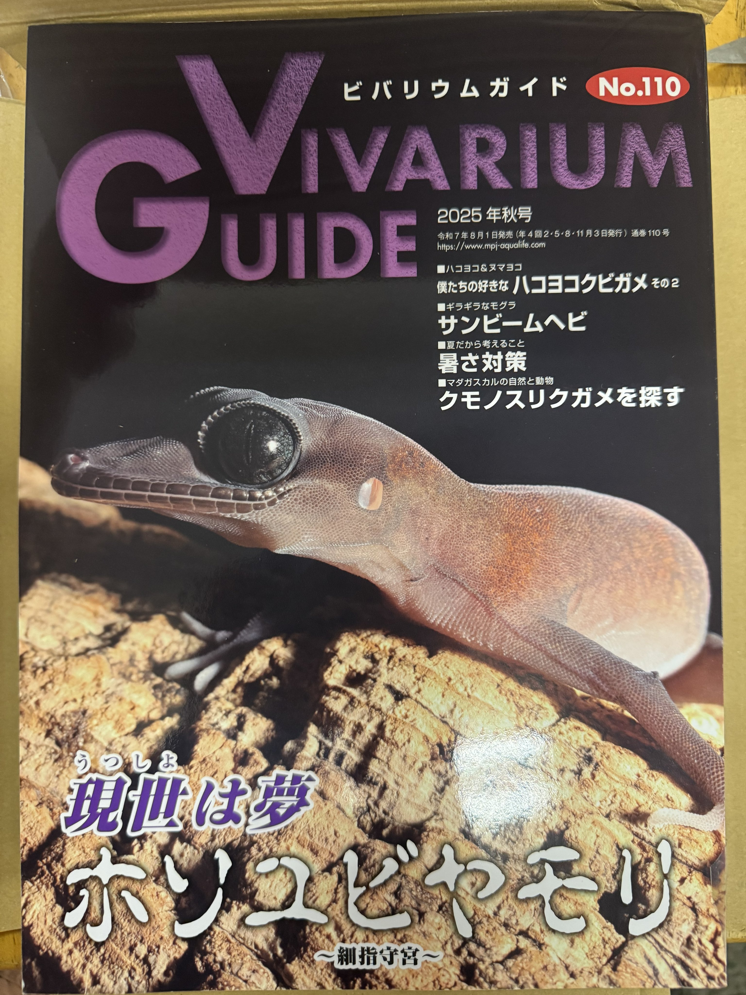 ビバリウムガイド　バラ売り要相談‼︎ VG108_001_web-212x300.jpg