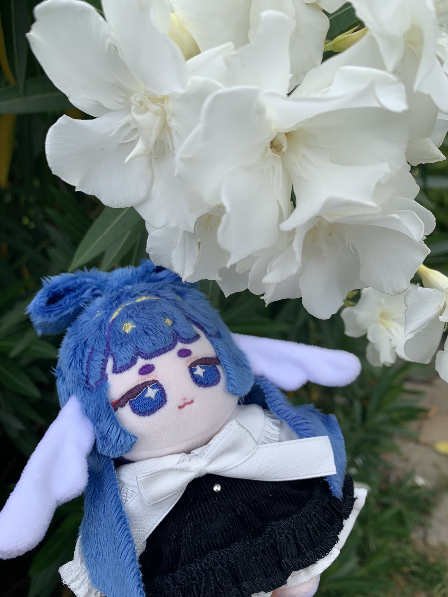 10cm 自作ぬいぐるみ　しらたまあんみつ しらたま (@shiratamrmr) / X