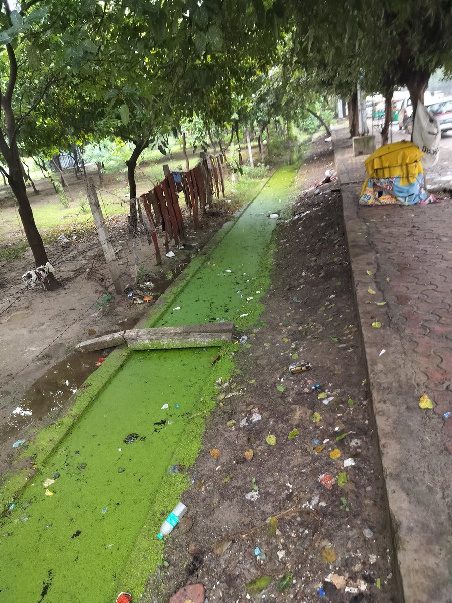 <a href="/noida_authority/">NOIDA Authority</a> महोदय 
कई बार शिकायत करने के बाद भी नोएडा को नंबर वन बनाने का बस इतना प्रयास हुआ है कि नालों की सफाई आधी बरसात होने के बाद भी नहीं हुई है 

यह आप लोगों के प्रयास है यह आप लोगों के कार्य हैं जबकि कई बार इस संबंध में शिकायत की गई है
पहले और बात की फोटो अटैच है