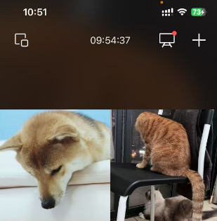 10M了给大哥道歉 <a href="/Bundle_Bonk/">BUNDLE</a>    熬不住了，熬剩下两个人