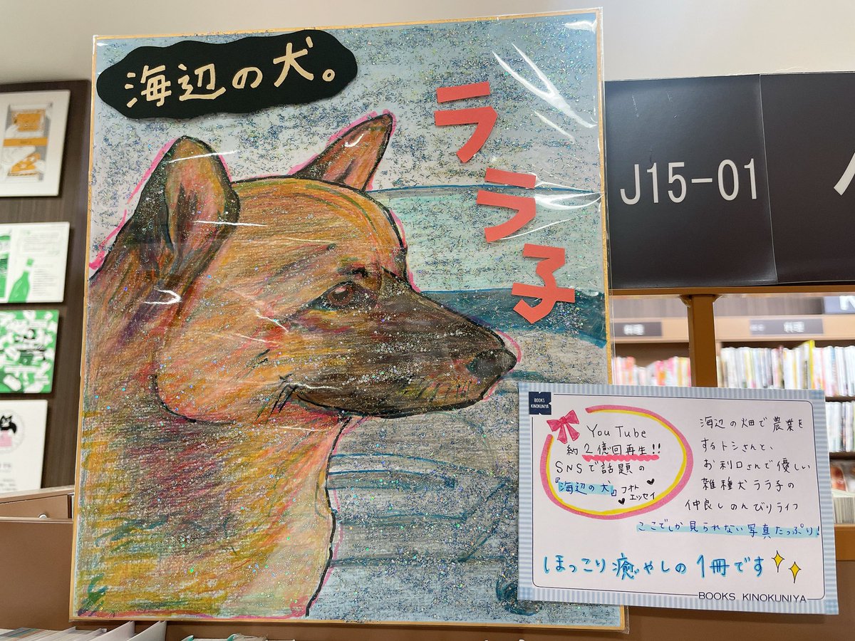海辺の犬。　2冊セット 本日トシさんの『海辺の犬。』入荷しました🐶 大ファンのスタッフ2名が