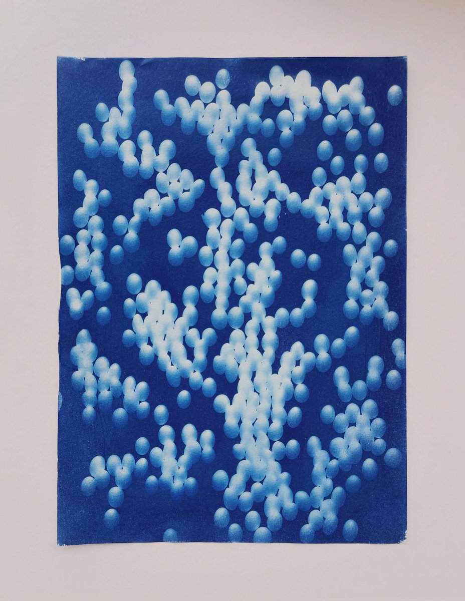 【雲ノ平山荘アーティスト・イン・レジデンス・プログラム2025】

現在滞在中のアーティストをご紹介します。

Elisa Michelet
東京を拠点に活動する、カリフォルニア出身のフランス系アメリカ人アーティスト。