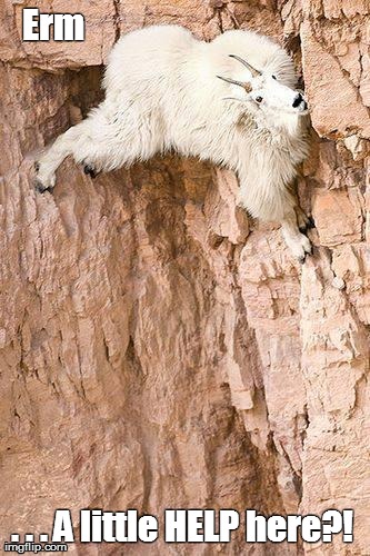 Welcome to National Daze! Today is National Climb A Mountain Day. Let's all climb up to a nice ledge or overlook, sit down, and play a game. #OnceIReachTheTop... What would you do? Tell <a href="/BellaLaRue1/">Bella</a>, <a href="/WTFinSoCal/">Old Crusty Bastard 🎌🍣🦂</a>, &amp; <a href="/SilipigniMario/">Mario Speedwagon</a> your thoughts. Let's have some fun!