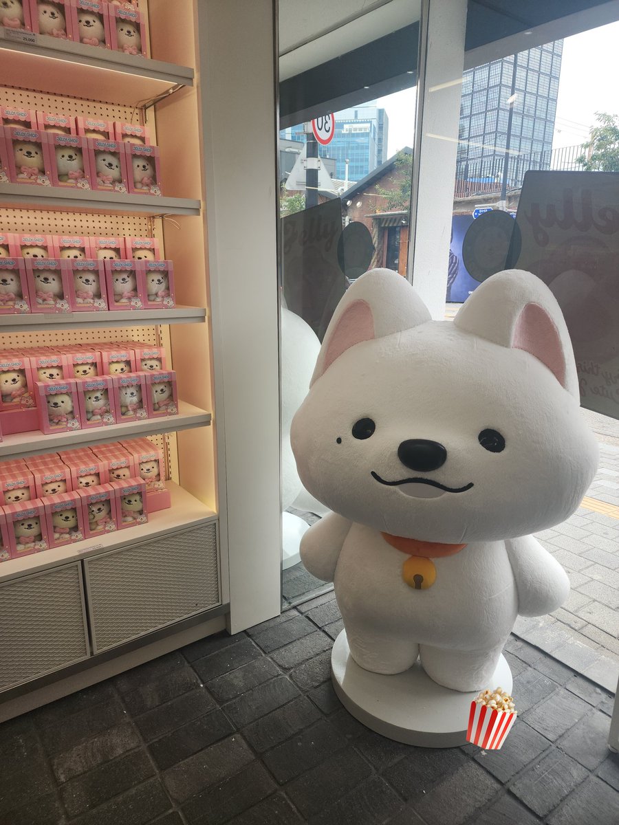 뒷태 치명적이다.
다니엘 닮아서 담이 크다😂
우산은 12시 30분 넘어서 입고된다고 하니 참고하시기
#DAM_YI #담이 #NYANG_JELLY_SHOP #담이_냥젤리샵 #DAM_YI_POPUP #담이팝업 
#🎮🐶🐱