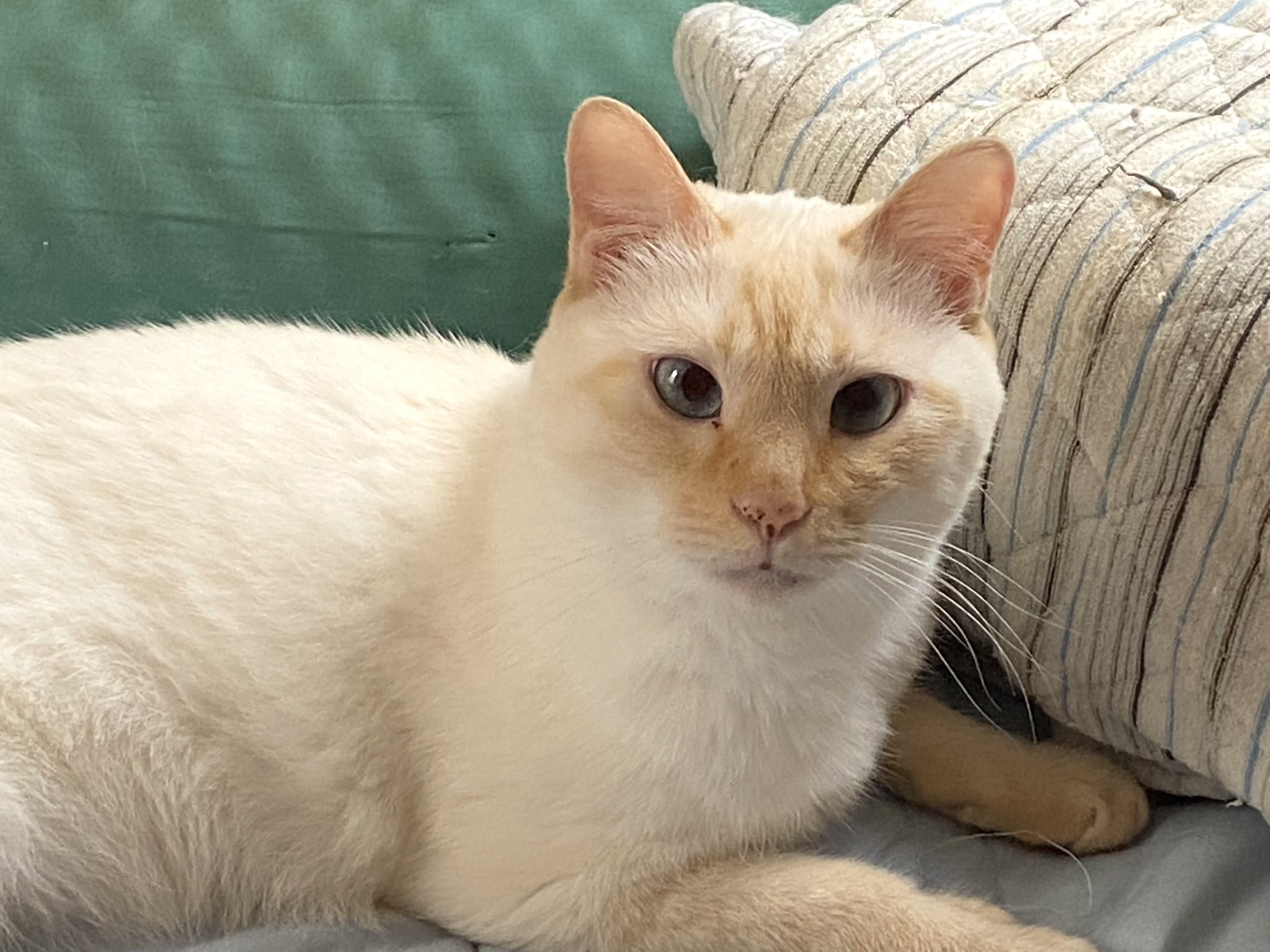 真理かめ (@mari64takahashi) / X