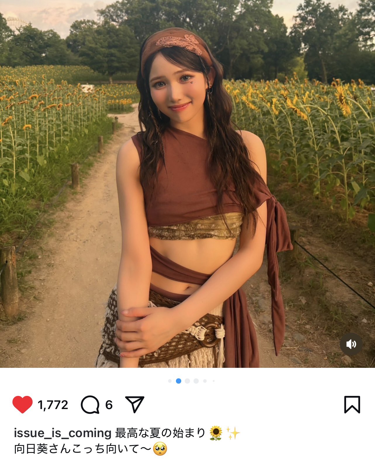 向日葵 犬派 on X: 