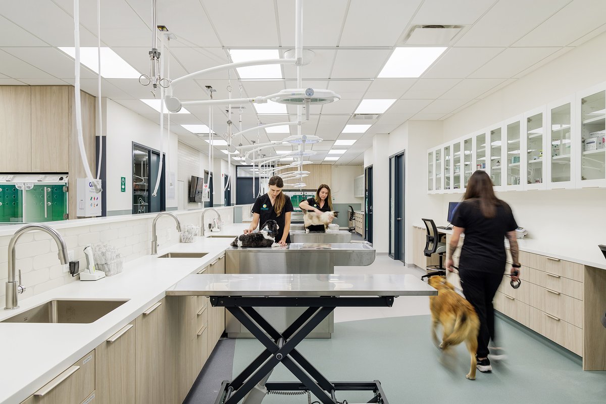 altro_aus's tweet image. 🐾 Veterinary clinics need hygienic, durable surfaces that stand up to paws, claws &amp;amp; cleaning.

Altro’s floors &amp;amp; walls offer:
✅ Odour &amp;amp; stain resistance
✅ Seamless, non-absorbent finish
✅ Scratch &amp;amp; impact resistance

Built for animal care.

#AltroAus #VeterinaryDesign