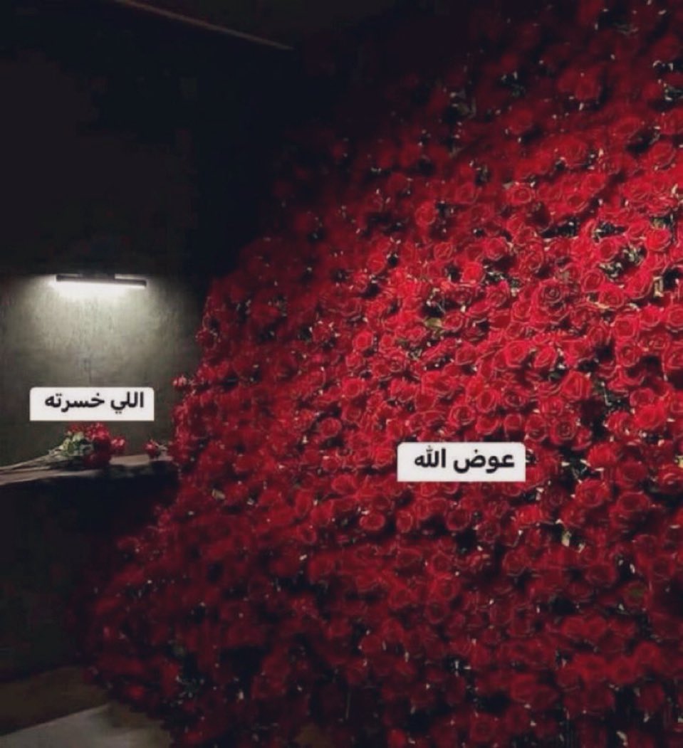 أعظم ما قيل عن عوض الله ..

إن لم يأتيك ما أردت
سيأتيك ما يُنسيك كل ما أردت♥️♥️