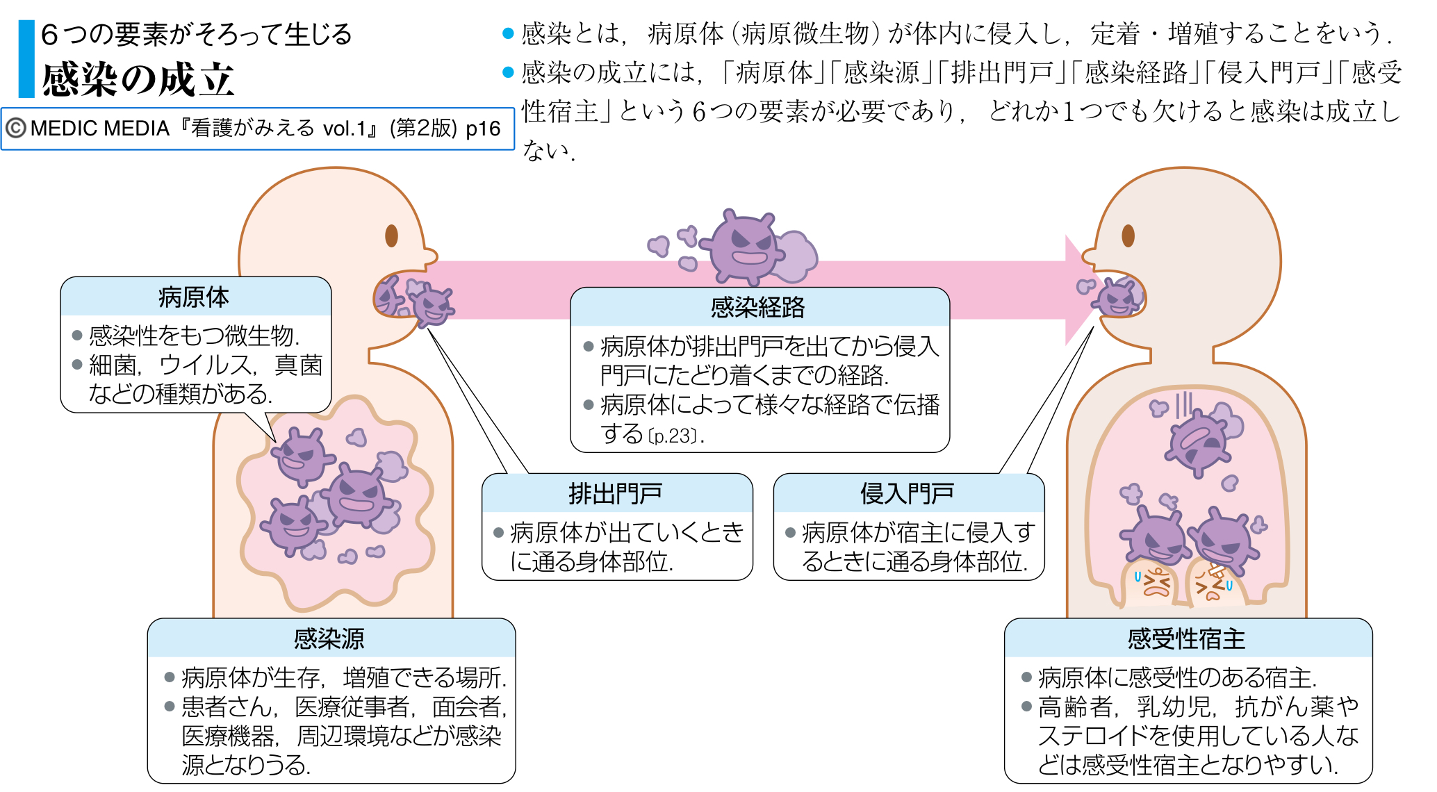 看護がみえる 病気がみえる まとめ売り セット 看護師 新人 看護学生 看護がみえる 病気がみえる まとめ売り セット 看護師 新人 看護