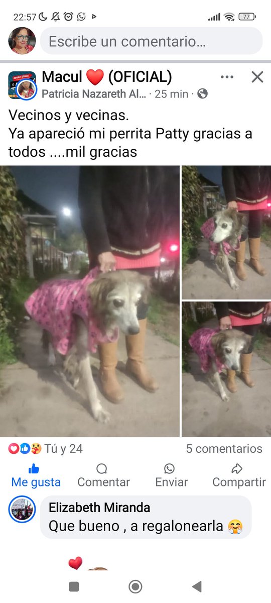 Sita Marce (@chilena9772) on Twitter photo Caso Patty ciega de 15 años.
Ya apareció, regreso a su casa en #Macul
RT <a href="/patrmarsh/">𑁍ᑭᗩT ♀️🟣</a> <a href="/Se_Me_Perdio/">Mascotas perdidas 🐶😿🍀</a> <a href="/vrojaso77/">Verónica Rojas Orellana</a> <a href="/callejeritosDLV/">CallejeritosDeLaVega</a> <a href="/eltuitdemarsh/">Marcela Andrea</a> <a href="/KarendTV/">Karen Doggenweiler L</a> <a href="/kattykowaleczko/">Katty Kowaleczko</a> <a href="/iritas1117/">Irita 🌳</a> <a href="/gloriabaettig/">Gloria Baettig</a> <a href="/DiaztabitaE/">tabita diaz</a> <a href="/MuniMacul/">Municipalidad Macul</a> <a href="/alegriagonzaa/">Alejandro Alegria 🌴</a> <a href="/BrendaEtchegar1/">Brenda Etchegaray</a> <a href="/carolinapinoc/">Caro 🌲 C.</a> Caso Patty ciega de 15 años.
Ya apareció, regreso a su casa en #Macul
RT <a href="/patrmarsh/">𑁍ᑭᗩT ♀️🟣</a> <a href="/Se_Me_Perdio/">Mascotas perdidas 🐶😿🍀</a> <a href="/vrojaso77/">Verónica Rojas Orellana</a> <a href="/callejeritosDLV/">CallejeritosDeLaVega</a> <a href="/eltuitdemarsh/">Marcela Andrea</a> <a href="/KarendTV/">Karen Doggenweiler L</a> <a href="/kattykowaleczko/">Katty Kowaleczko</a> <a href="/iritas1117/">Irita 🌳</a> <a href="/gloriabaettig/">Gloria Baettig</a> <a href="/DiaztabitaE/">tabita diaz</a> <a href="/MuniMacul/">Municipalidad Macul</a> <a href="/alegriagonzaa/">Alejandro Alegria 🌴</a> <a href="/BrendaEtchegar1/">Brenda Etchegaray</a> <a href="/carolinapinoc/">Caro 🌲 C.</a>
