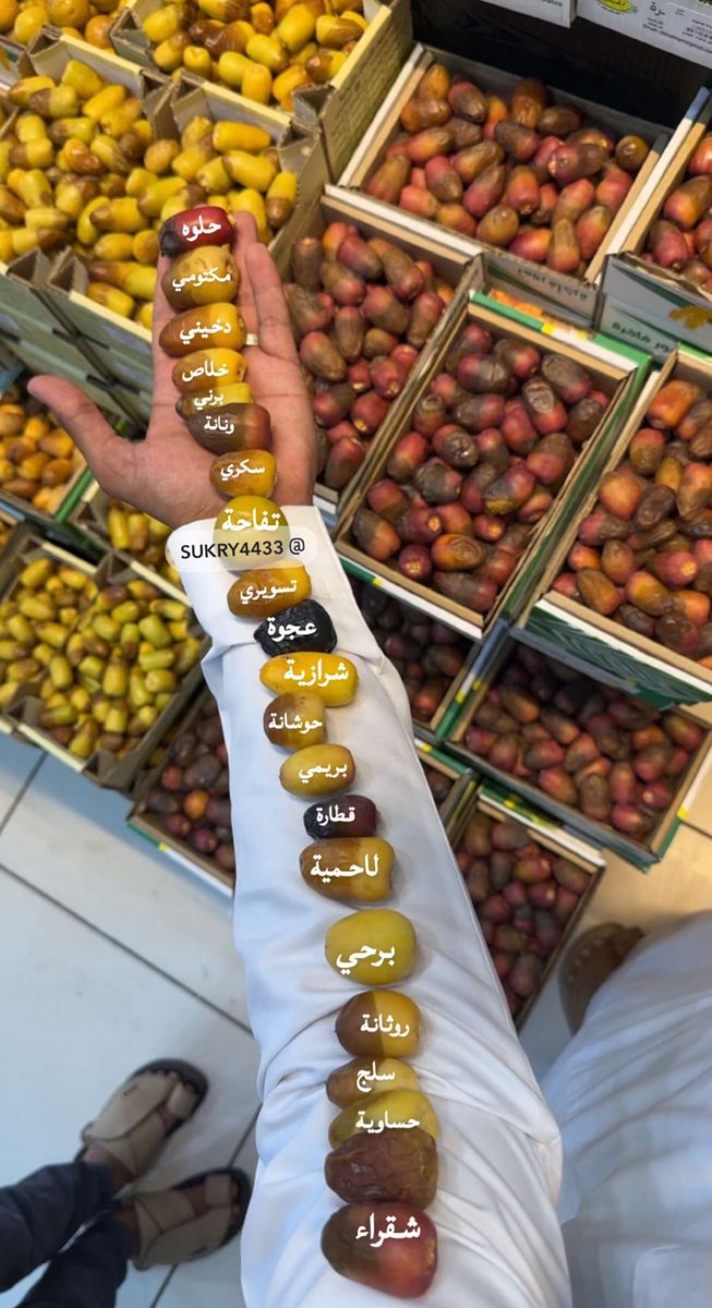 طاحت أنواع الرطب في عدة مناطق المدينة وادي الدواسر القصيم الخرج .. المصدر حساب سكري القصيم