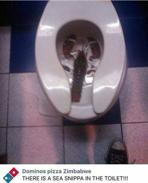 Colt (@colttgg) on Twitter photo 