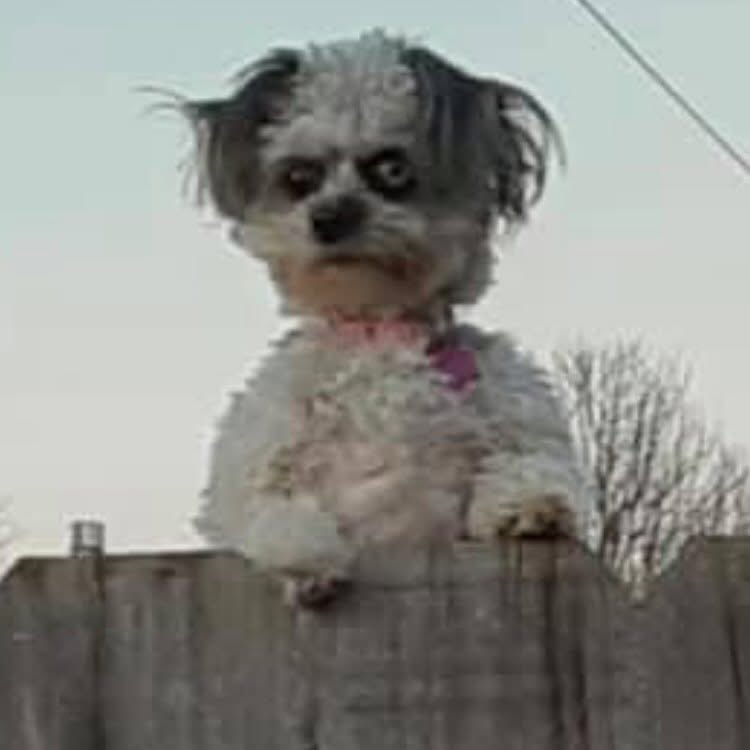 That boy 4 was grasping for dear life when Dallas went by him. He couldn't even pass interference if he wanted to