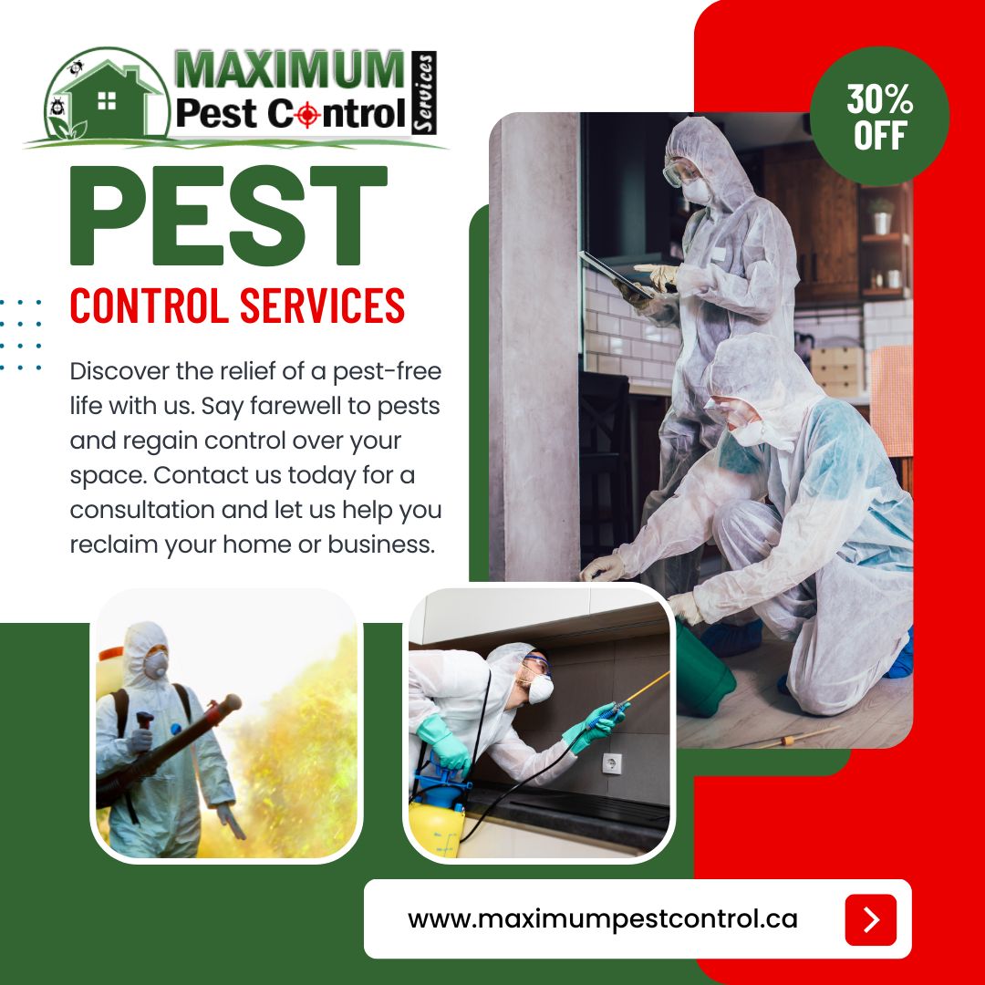 Cockroach Poop or Something Else? Here’s How to Tell maximumpestcontrol.ca/pest-control/c… #Hamilton #Oakville #Burlington #mississauga #pestcontrol