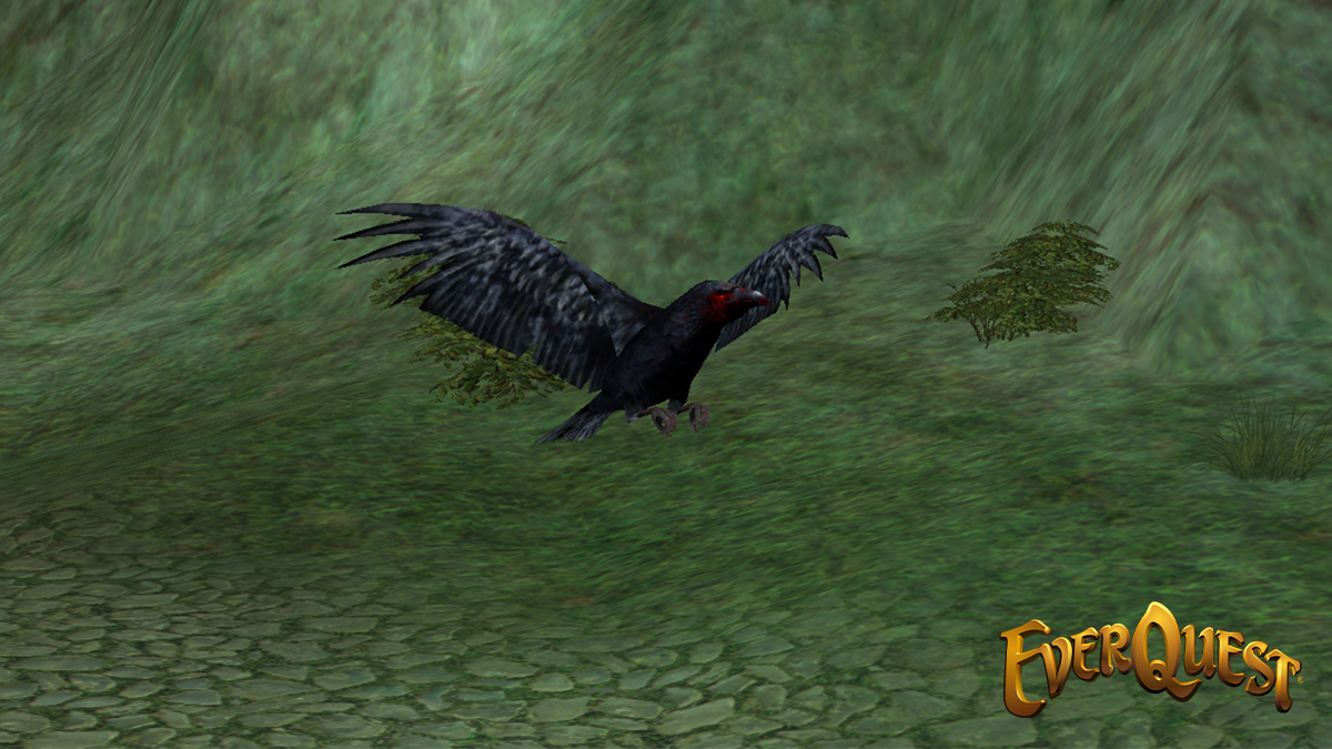 ⌛️Tomorrow is the final day to get this Visage of the Blood Raven when purchasing Krono off our website! Read all about it at the link below! ⬇️

everquest.com/news/eq-krono-…

#EverQuest  #EQ