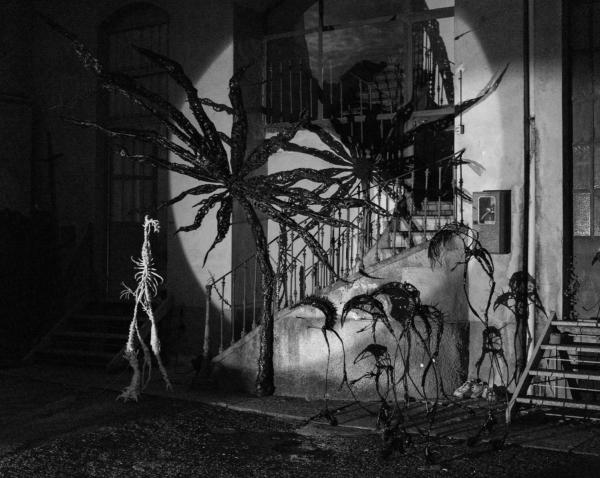 © Alina Kleytman (installation view)
