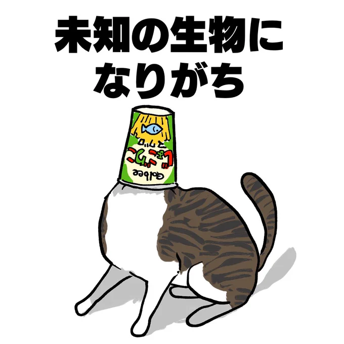 猫あるある 