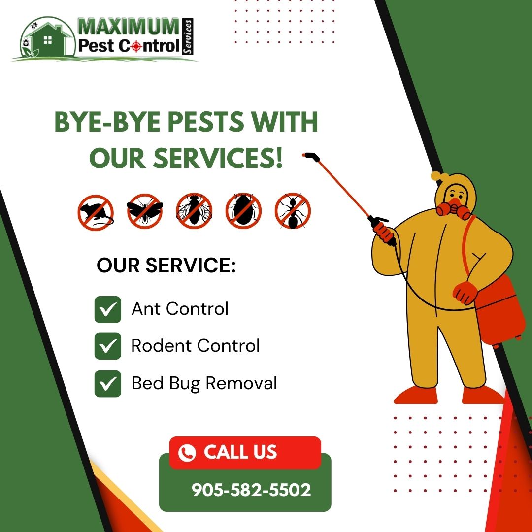 Safe Reliable Mice and Cockroach Removal for Homes and Businesses facebook.com/people/Maximum…