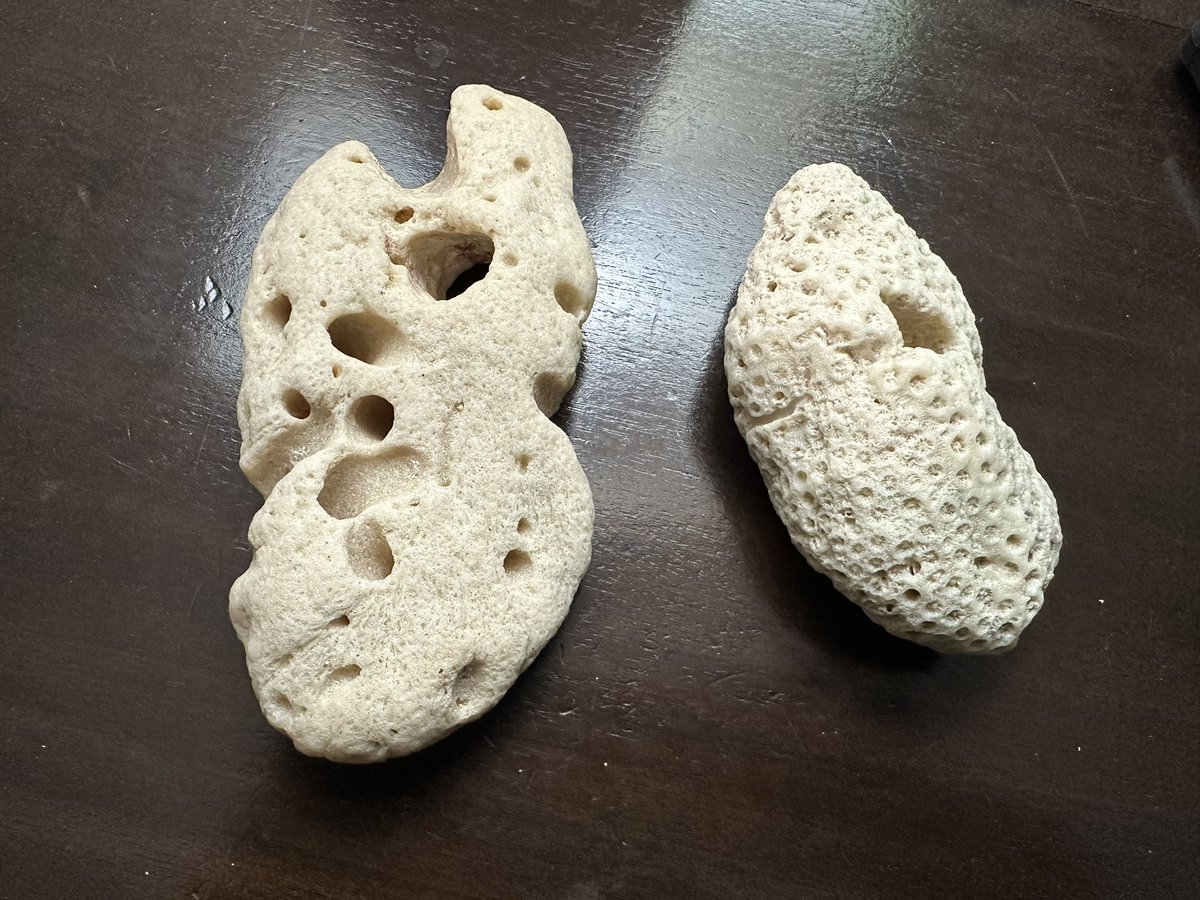 Jason Bradshaw 🇨🇦🇧🇧 tweet media