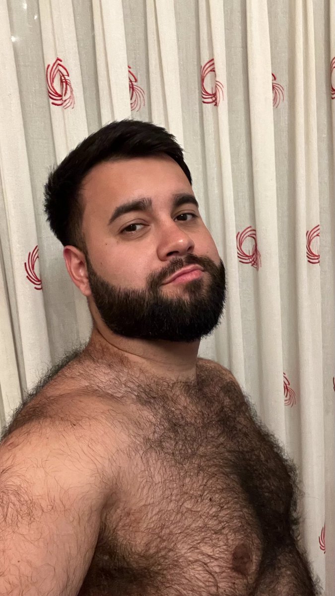 El Bearcito (@luisporta01) on Twitter photo 