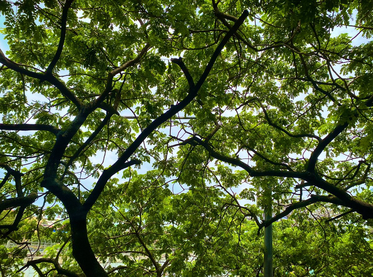 christine (@balmingseas) on Twitter photo 