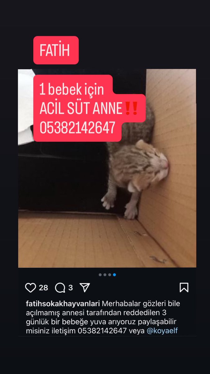 FATİH

ACİL SÜT ANNE‼️‼️‼️