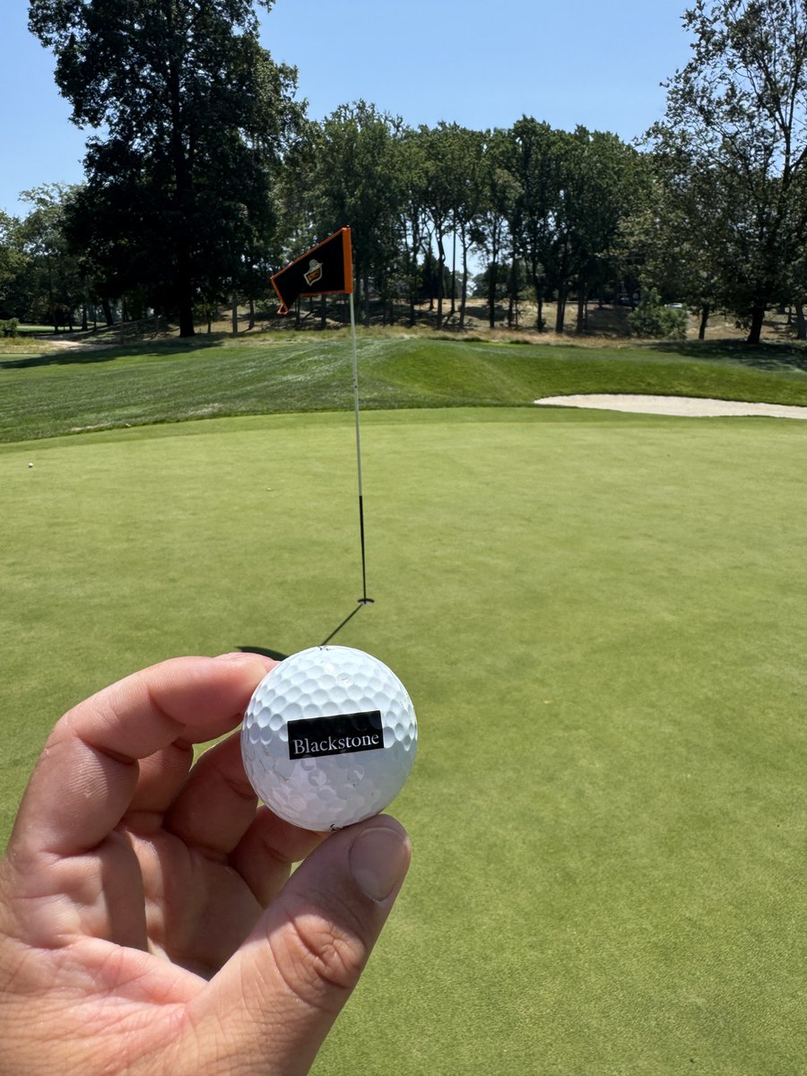 Pretty good golf ball find today